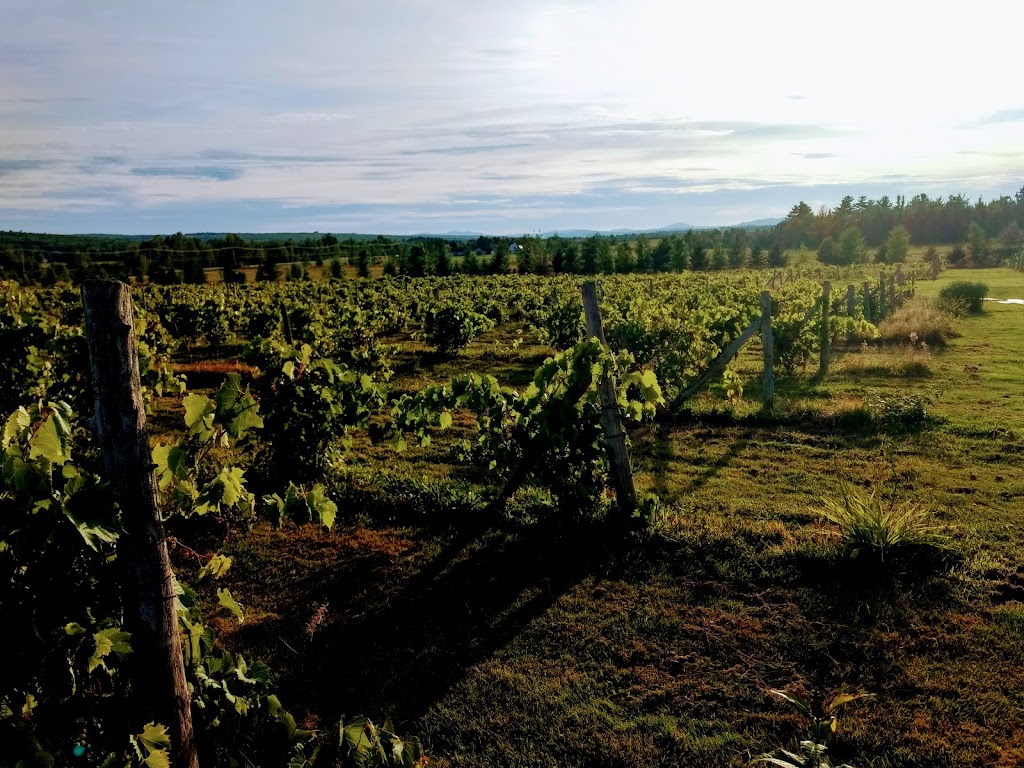 Vignoble Chemin de la Rivière | 1087 Chem. de la Rivière, Magog, QC J1X 3W5, Canada | Phone: (819) 847-1485
