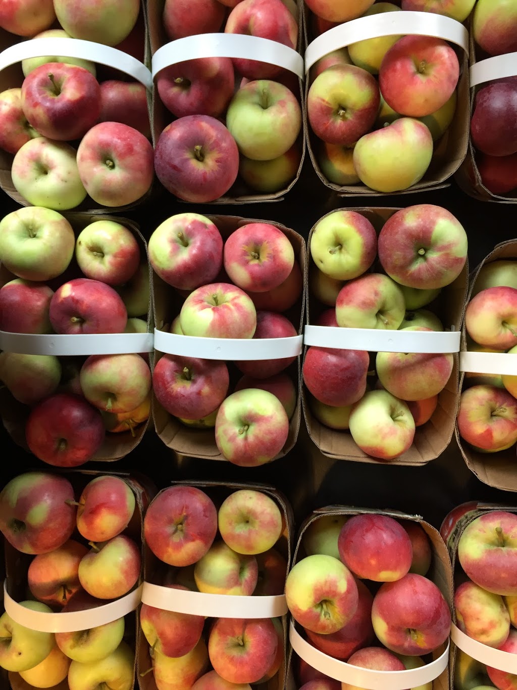 Ferme lArtisan Farm | Concession Rd 14, Fournier, ON K0B 1G0, Canada | Phone: (613) 323-2073