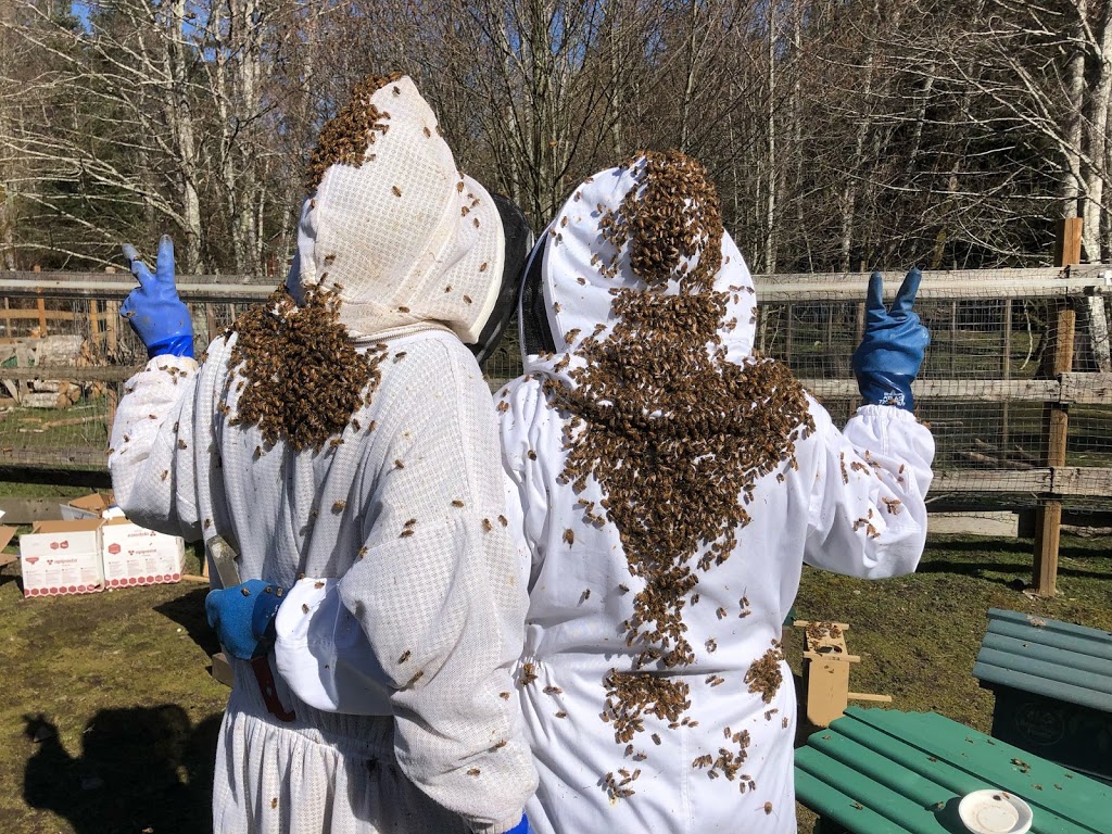 Bees Please Farms | 4061 Happy Valley Rd, Victoria, BC V9C 3X8, Canada | Phone: (250) 514-1157