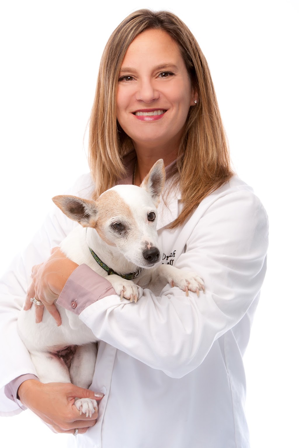 North Oakville Animal Hospital | 2520 Sixth Line, Oakville, ON L6H 6W5, Canada | Phone: (905) 257-3700