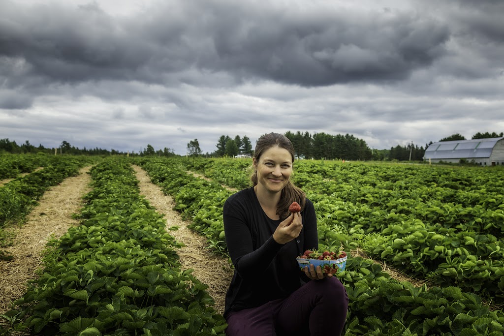 Patrice Amyot Photographie | 12 Chem. du Petit Québec, La Patrie, QC J0B 1Y0, Canada | Phone: (819) 888-0210