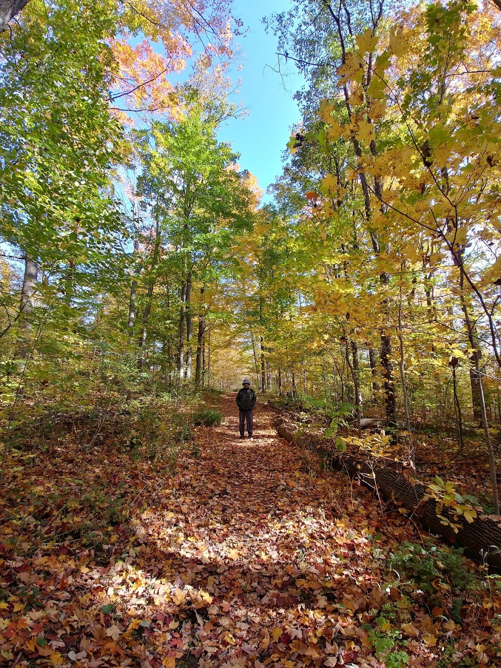 Marden Tract | 5559 Wellington County Rd 39, Guelph, ON N1H 6J2, Canada | Phone: (519) 621-2761