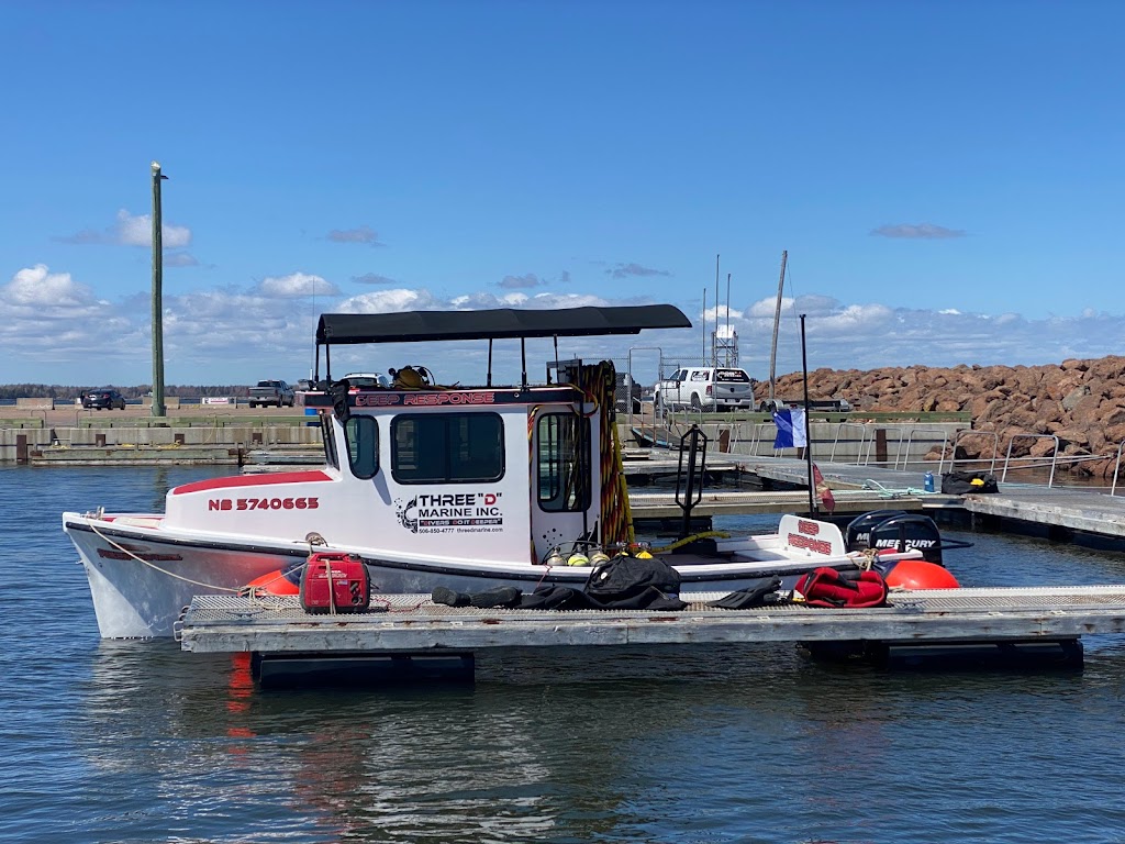 Three "D" Marine Inc. | 53 Monique St, Shediac, NB E4P 0M5, Canada | Phone: (506) 850-4777