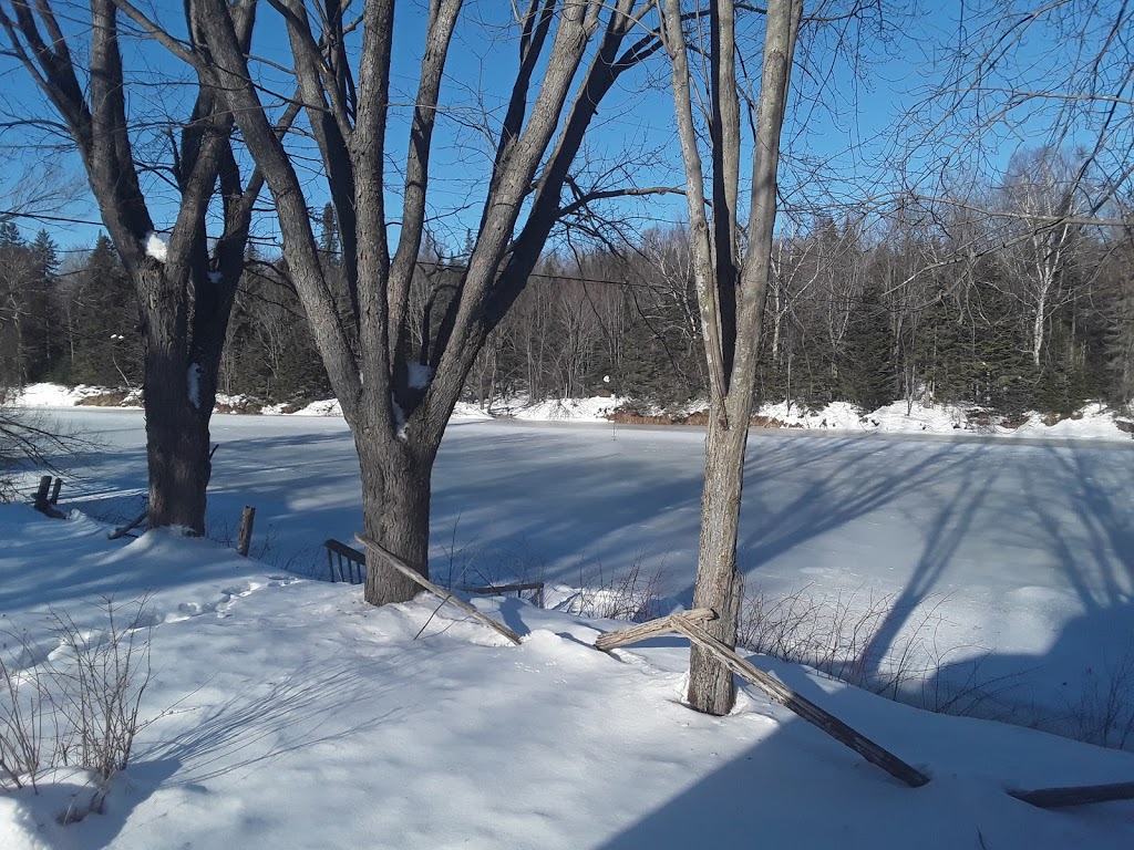 Escale du Loup | 3520 Chemin du Lac Bergeron, Saint-Paulin, QC J0K 3G0, Canada | Phone: (514) 260-3054