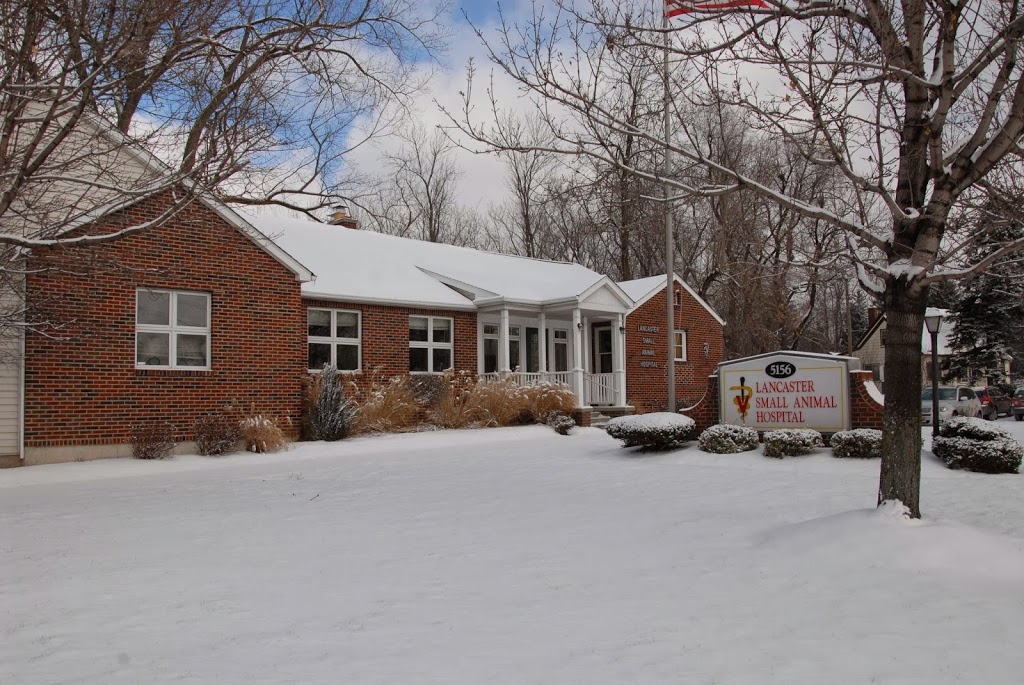 Lancaster Small Animal Hospital: Fetzner Heather A DVM | 5156 Genesee St, Bowmansville, NY 14026, USA | Phone: (716) 681-3033
