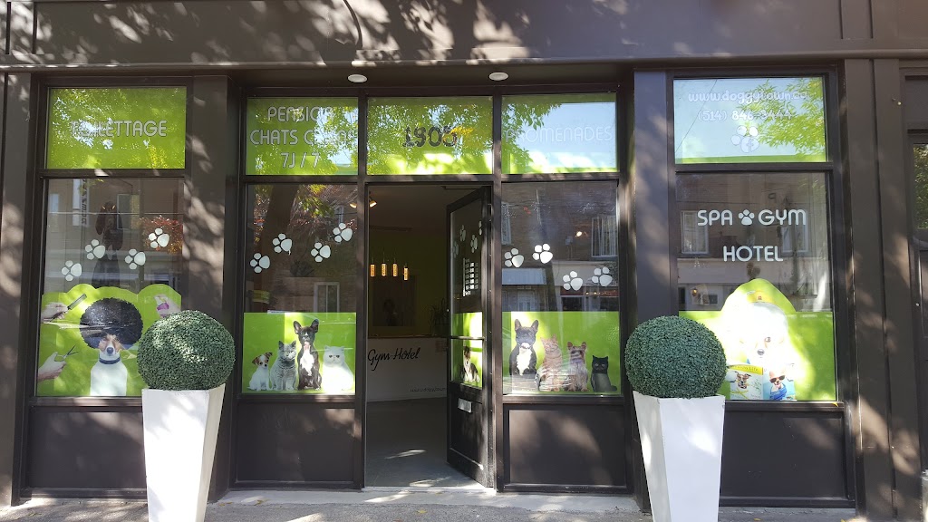 Adorable Doggytown | 322 Chem. du Ruisseau, Saint-Jacques-le-Mineur, QC J0J 1Z0, Canada | Phone: (514) 846-3444