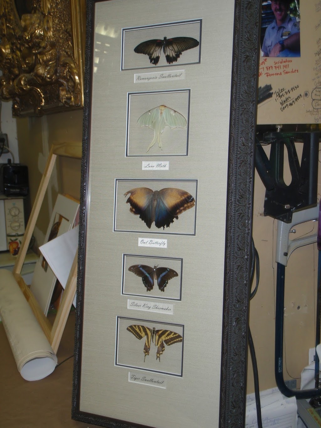 B Creative Framing & Art Supplies | 2354 Long Lake Rd, Sudbury, ON P3E 5H5, Canada | Phone: (705) 522-1221