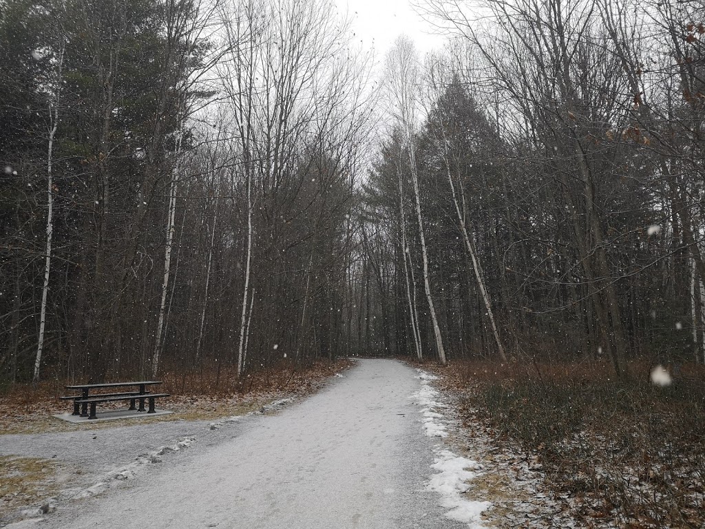 Les Berges de lÎle Vessot | 115 Avenue du Littoral, Saint-Paul, QC J0K 3E0, Canada | Phone: (450) 917-1725