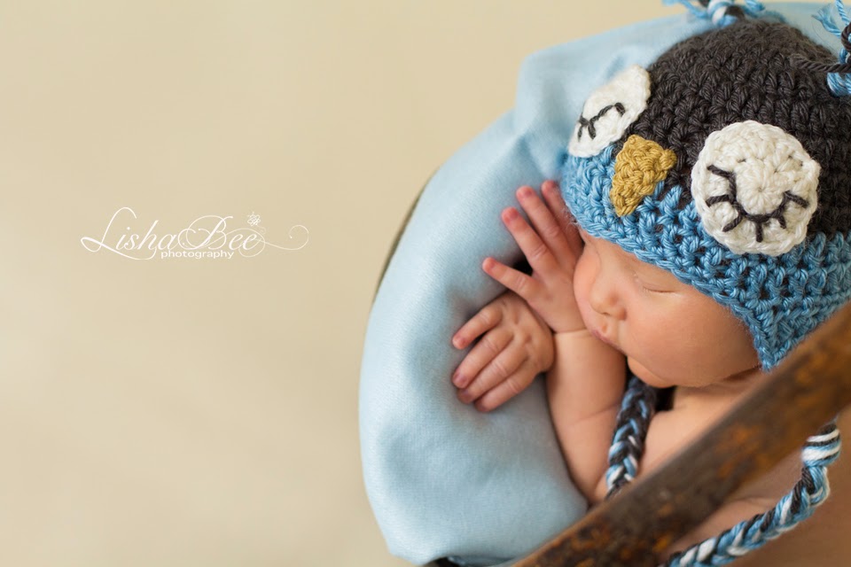 LishaBee Photography | 6 Carness Crescent, Keswick, ON L4P 0B6, Canada | Phone: (905) 716-2859