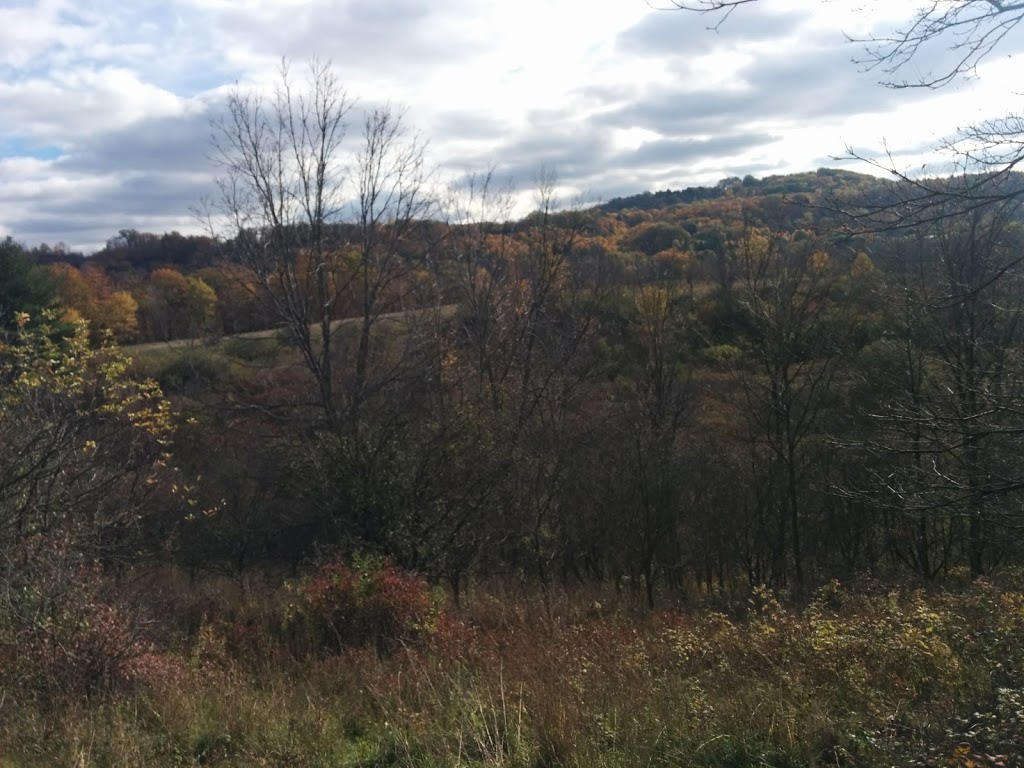 McMaster Conservation Corridor | Monarch Trail, Hamilton, ON L9H 5E3, Canada