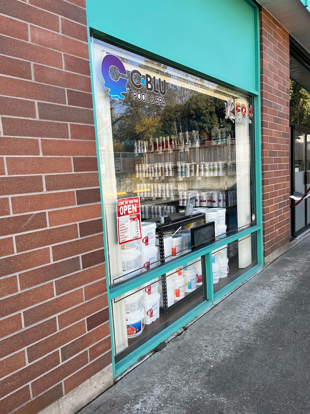 C Blu Service & Supplies Ltd | 1481 Stayte Rd, White Rock, BC V4B 4Z3, Canada | Phone: (604) 589-4281
