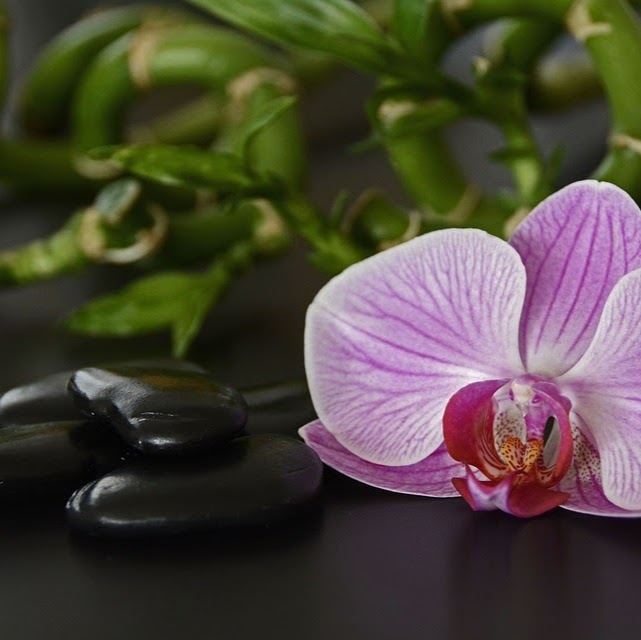 Centre de Traitement Naturel Al hijama Massage | 4228A 3e Rue, Laval, QC H7W 2M2, Canada | Phone: (514) 831-6130