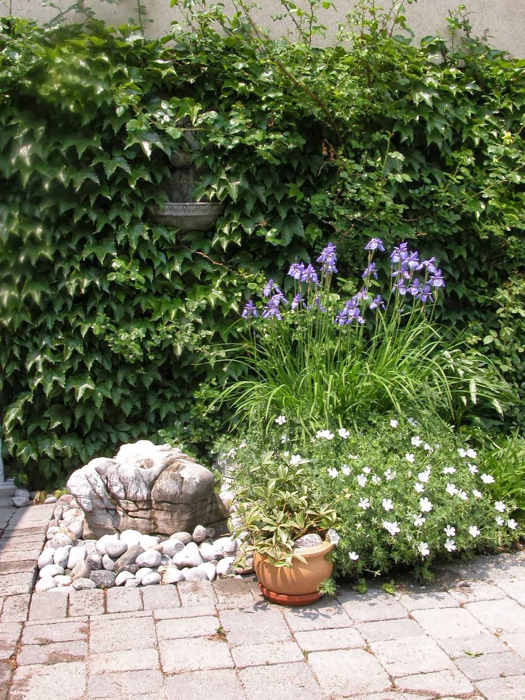 BCH Landscaping Design | 39 Kenninghall Blvd, Mississauga, ON L5N 1J5, Canada | Phone: (905) 814-1552