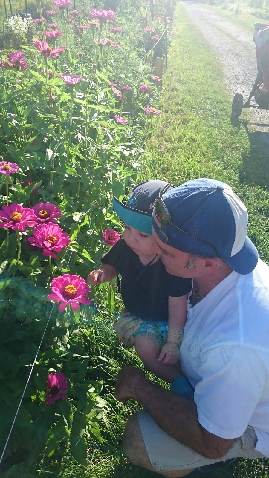 Gloucester Allotment Garden | 1988 Kelden Crescent, Gloucester, ON K1B 4Y7, Canada