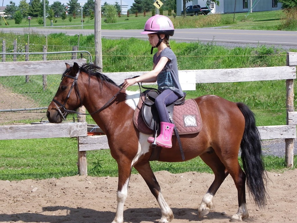 Equestrian Center & Services Équestres Lhéritage | 2740 Rang du Haut de la Rivière, Sainte-Élisabeth, QC J0K 2J0, Canada | Phone: (450) 365-7361