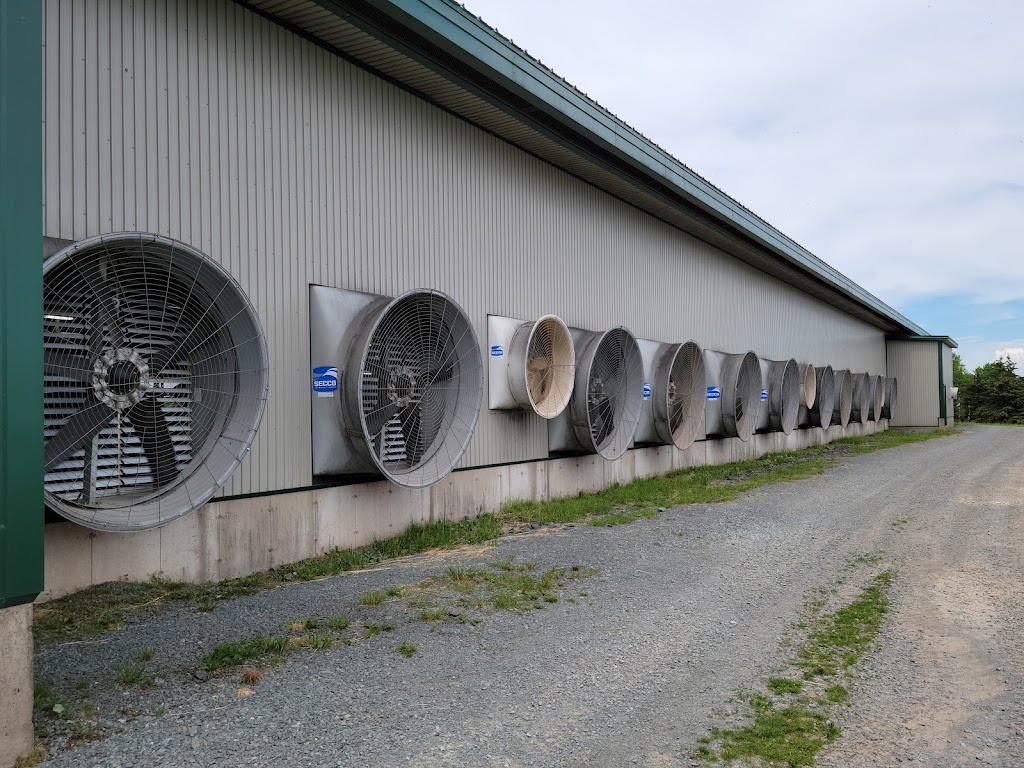 Bokma Farms | 40 Crombe Rd, Shubenacadie, NS B0N 2H0, Canada | Phone: (902) 751-0003