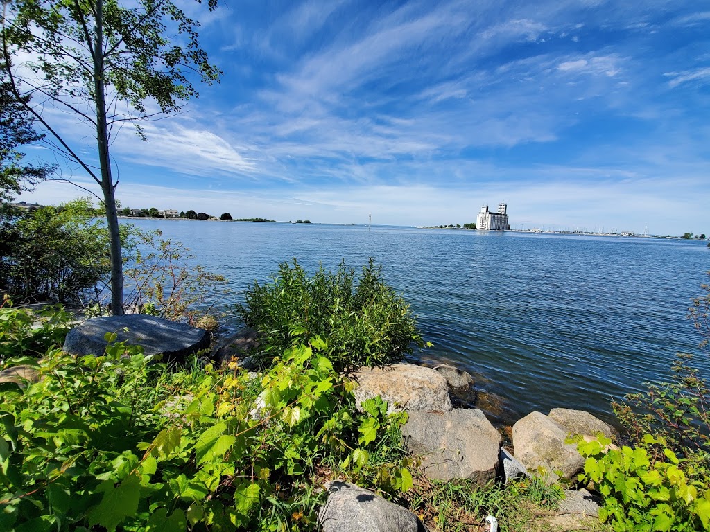 Collingwood Arboretum | 3E5,, 6 Hickory St, Collingwood, ON L9Y 3E5, Canada | Phone: (705) 444-2500 ext. 3264