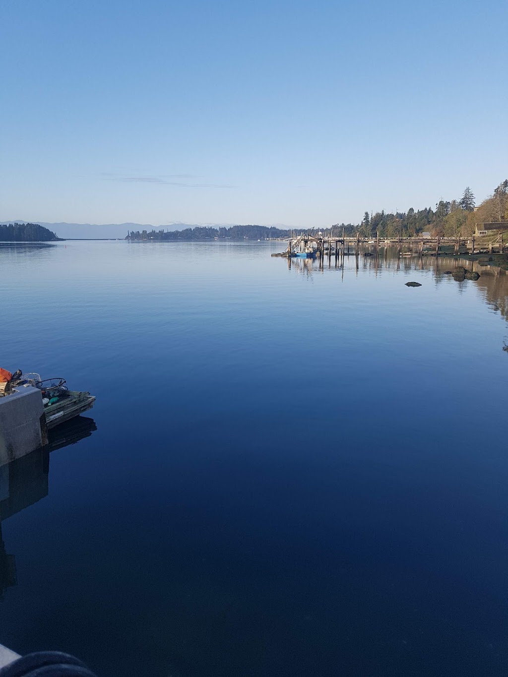 VIP Fishing Charters | 2011 Terrott St, Sooke, BC V9Z 0X2, Canada | Phone: (250) 415-0489