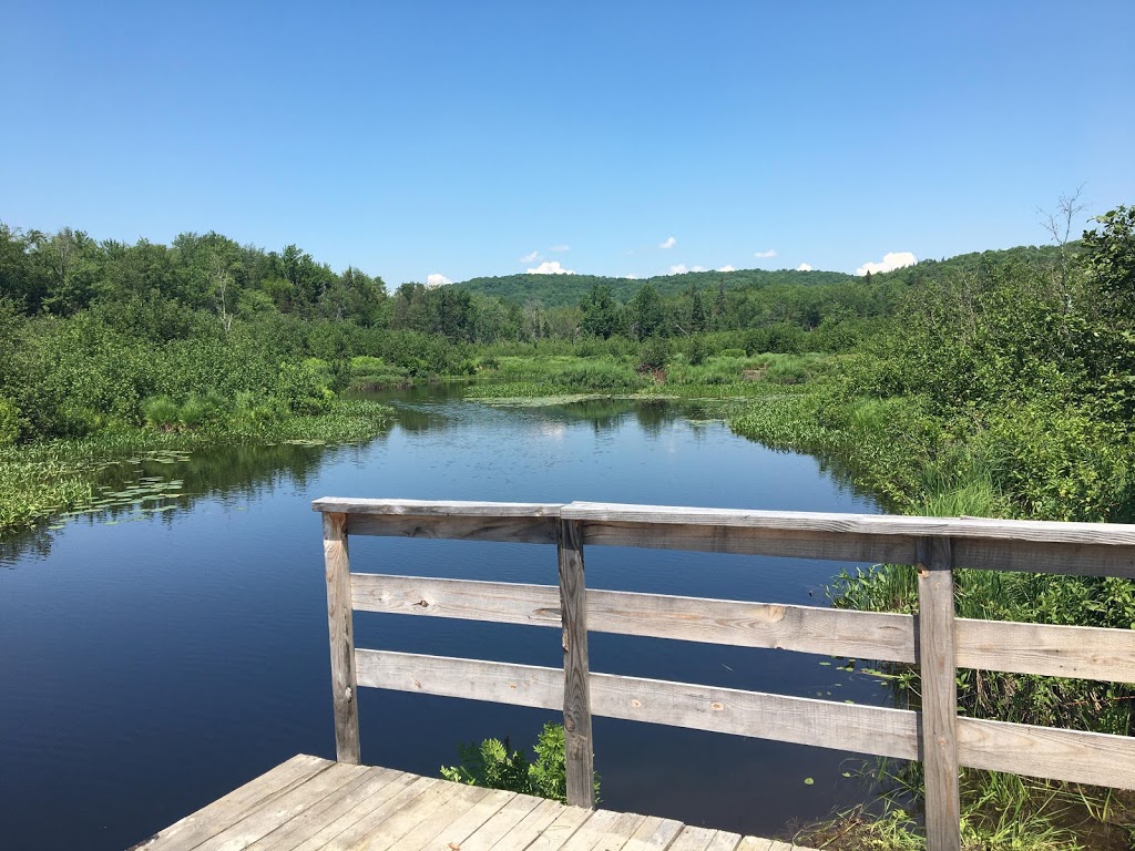 Ô 6e Rang | 3970 6e Rang, Saint-Calixte, QC J0K 1Z0, Canada | Phone: (450) 222-0909