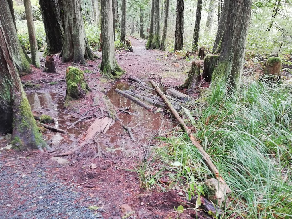 Metchosin Wilderness Park | 930 Clapham Dr, Victoria, BC V9C 4G5, Canada