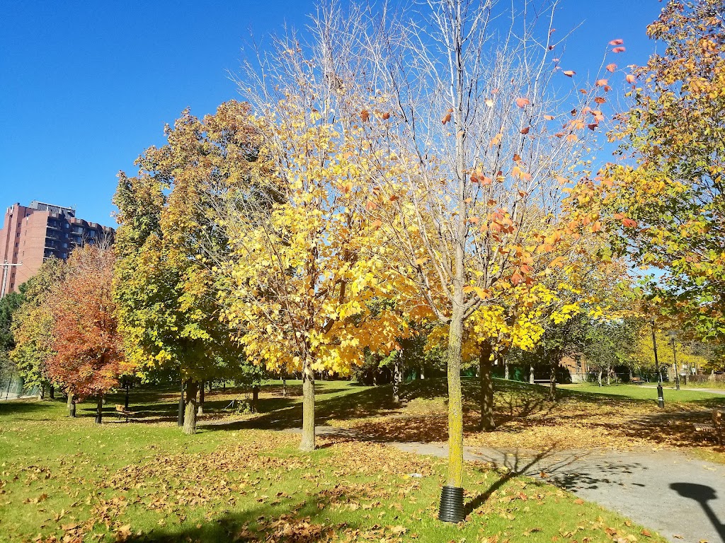 Parc André-Cailloux | 6789 Bd Perras, Montréal, QC H1E 5N9, Canada | Phone: (514) 872-3434