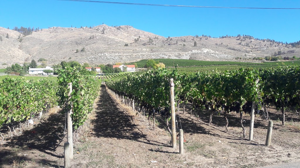 Osoyoos Stucco | 2313 66 Ave, Osoyoos, BC V0H 1V6, Canada | Phone: (250) 498-1062