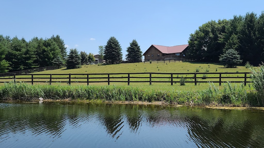 Three Brother Ranch | 343609 Ebenezer Rd, Mount Elgin, ON N0J 1N0, Canada | Phone: (226) 228-3526