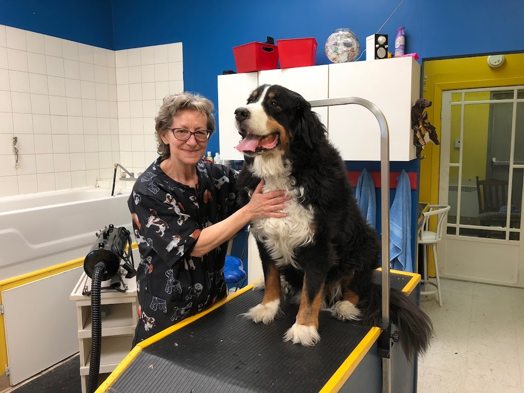Animouff - Boutique et toilettage pour animaux | 8068 Bd Lévesque E, Laval, QC H7A 3K9, Canada | Phone: (450) 665-0961