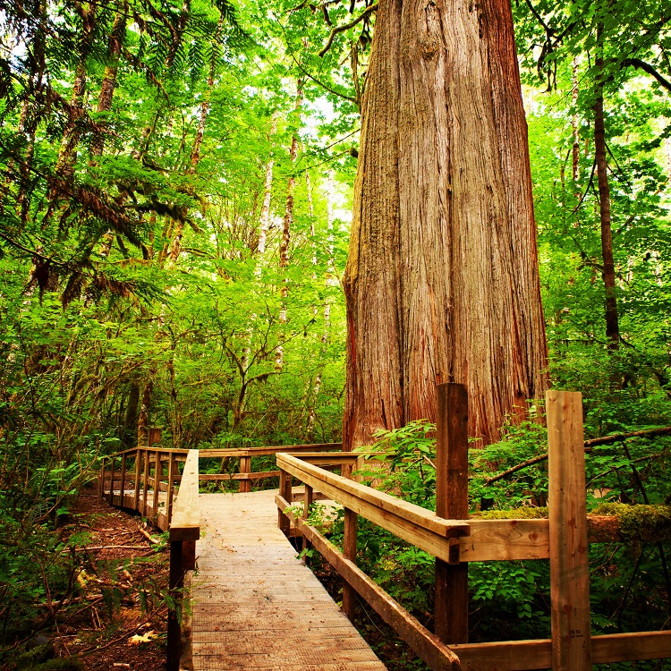 Cheakamus Centre | 1600 Paradise Valley Rd, Brackendale, BC V0N 1H0, Canada | Phone: (604) 898-5422