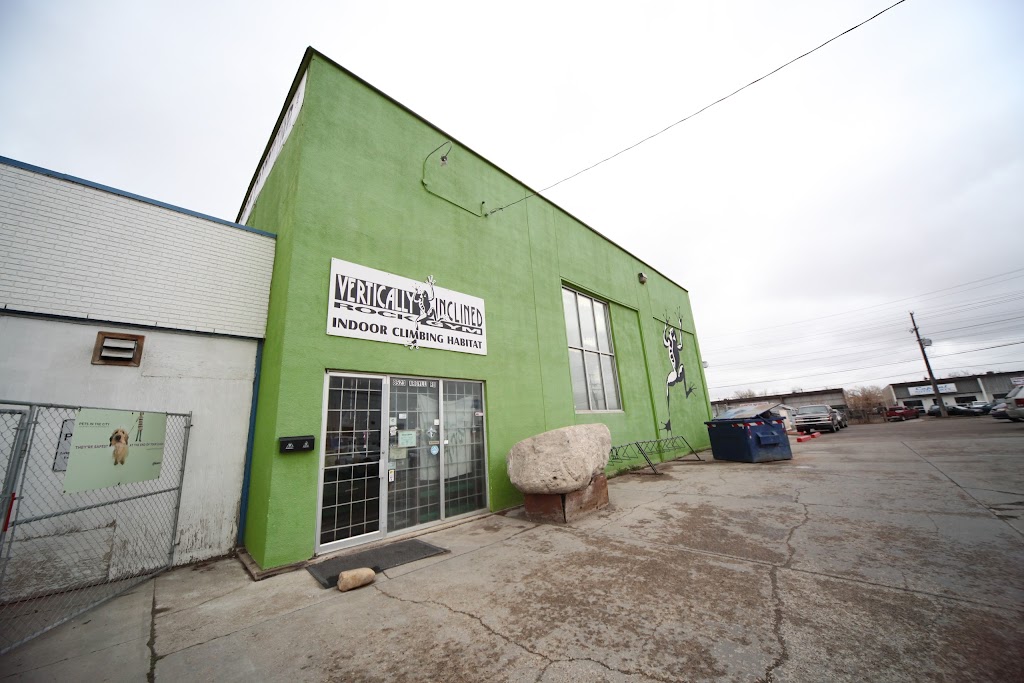 Vertically Inclined Rock Gym | 8523 Argyll Rd NW, Edmonton, AB T6C 4B2, Canada | Phone: (780) 496-9390