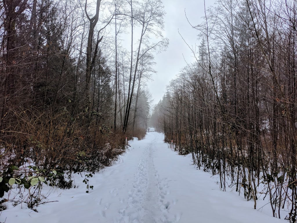 Discovery Park | 8999 Nelson Way, Burnaby, BC V5A 4B5, Canada