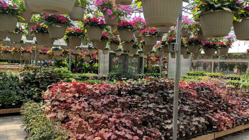 Tree Valley Garden Centre | 4431 Stouffville Rd, Whitchurch-Stouffville, ON L4A 7X5, Canada | Phone: (905) 640-2020