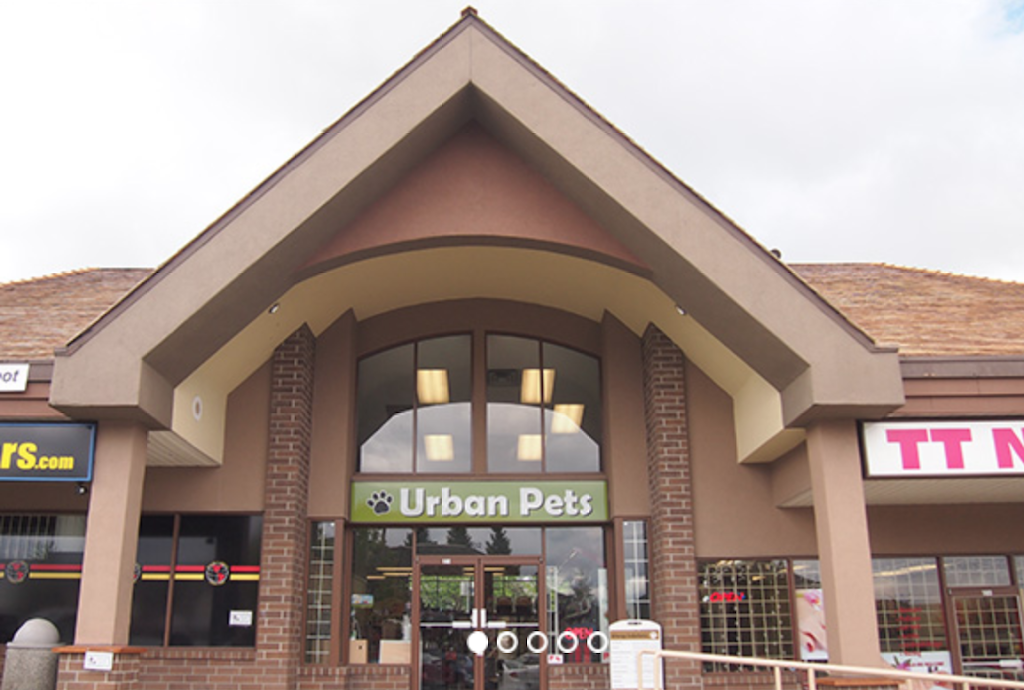 Urban Pets | 21183 88 Ave, Langley City, BC V1M 2G5, Canada | Phone: (604) 455-9389