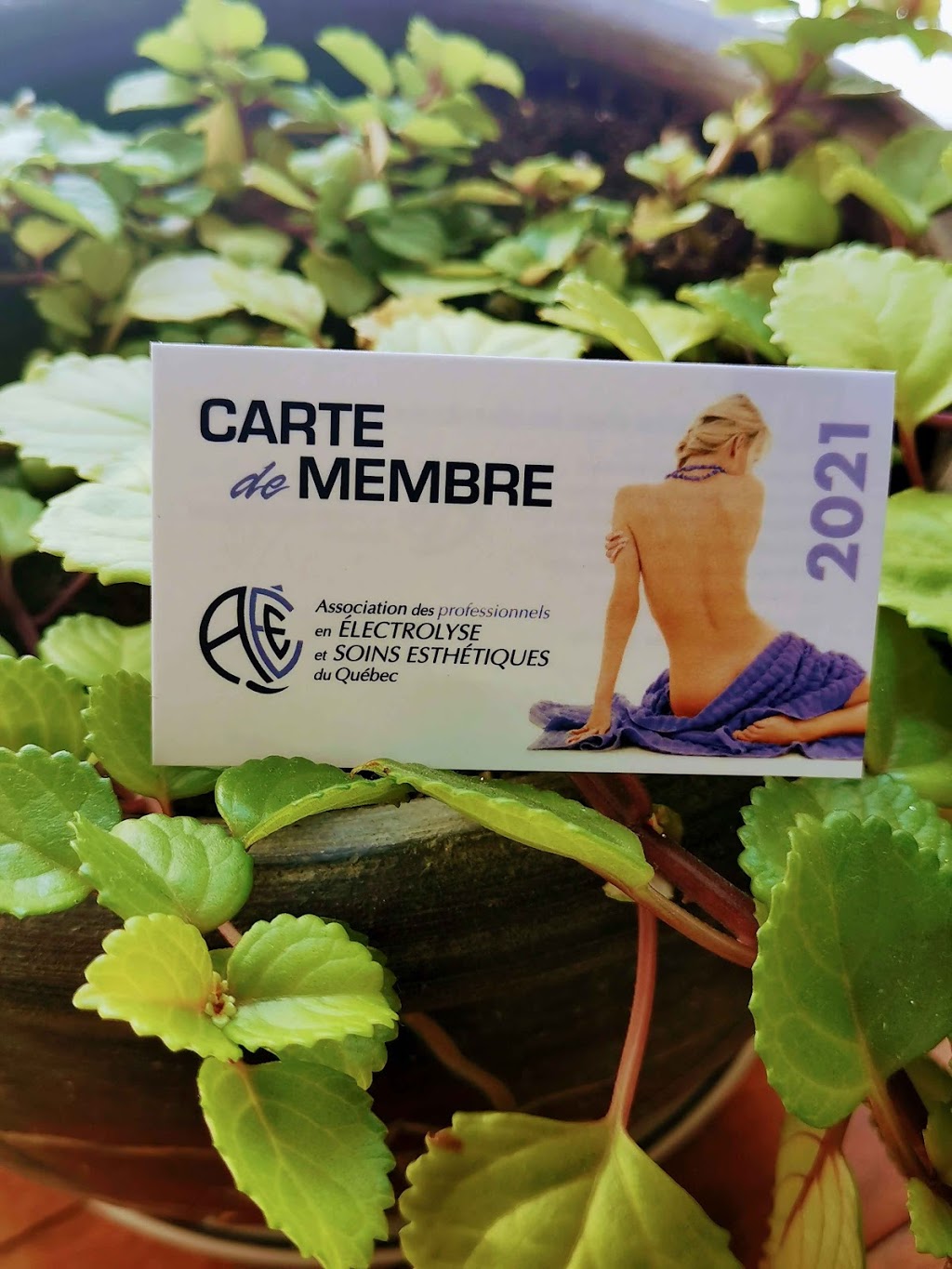 Salon de soins Esthétick Anick | 199 Chemin Dearden, Westbury, QC J0B 1R0, Canada | Phone: (450) 847-1510