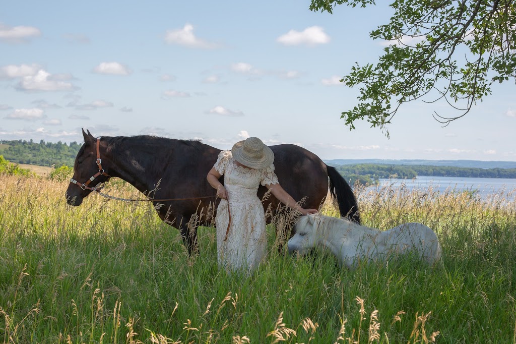 Harmony Farm Rice Lake | 245 Hannah Rd, Bailieboro, ON K0L 1B0, Canada | Phone: (705) 957-1678