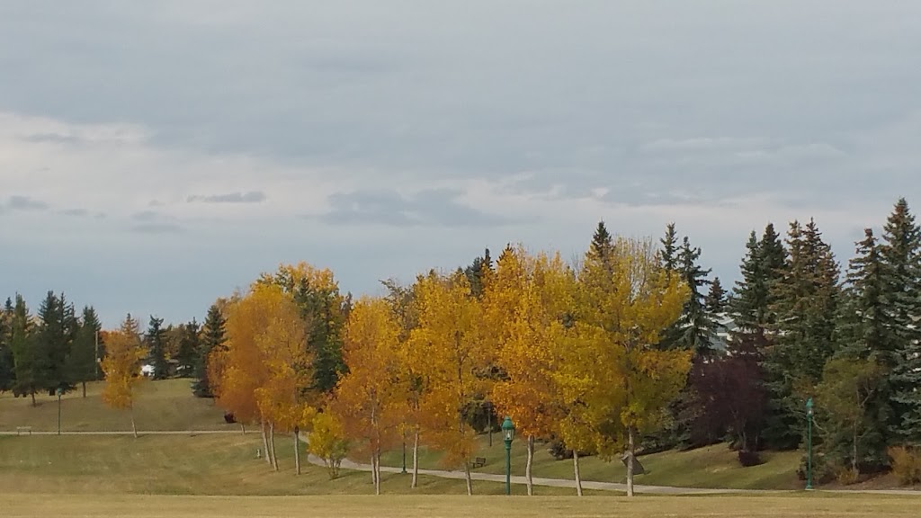 Marlborough Park Community Association | 6021 Madigan Dr NE, Calgary, AB T2A 5G9, Canada | Phone: (403) 248-1775