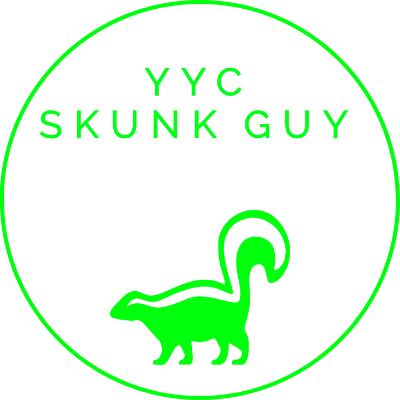 YYC SKUNK GUY | 77 Coville Crescent NE, Calgary, AB T3K 5E3, Canada | Phone: (587) 855-7979
