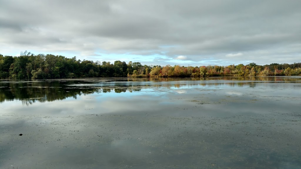 Bond Lake Park | 2571 Lower Mountain Rd, Ransomville, NY 14131, USA | Phone: (716) 439-7951
