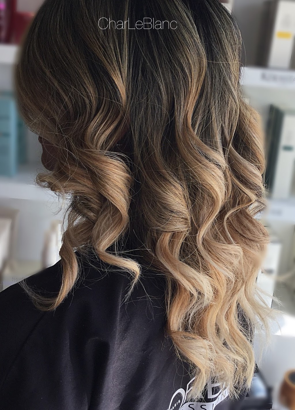 Char Le Blanc Salon | 2525 Prince Michael Dr, Oakville, ON L6H 0E9, Canada | Phone: (905) 257-7776