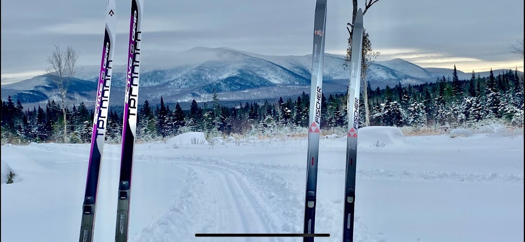 Chalet Malamut | 115 Chem. Roi-du-Mont, Woburn, QC G0Y 1R0, Canada | Phone: (819) 544-9662
