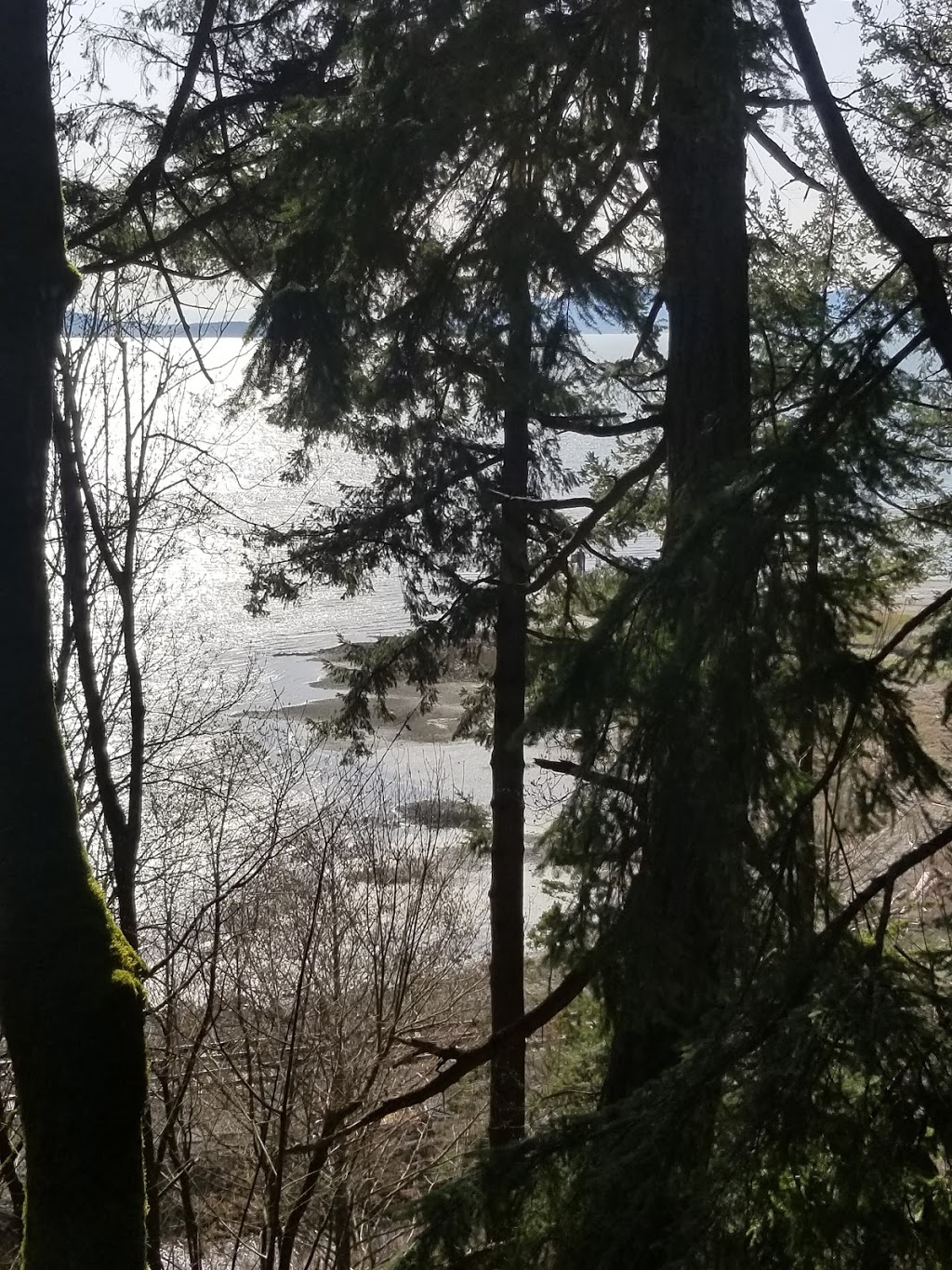 Chuckanut Cabins | 2360 Oyster Creek Ln, Bow, WA 98232, USA | Phone: (360) 755-0888