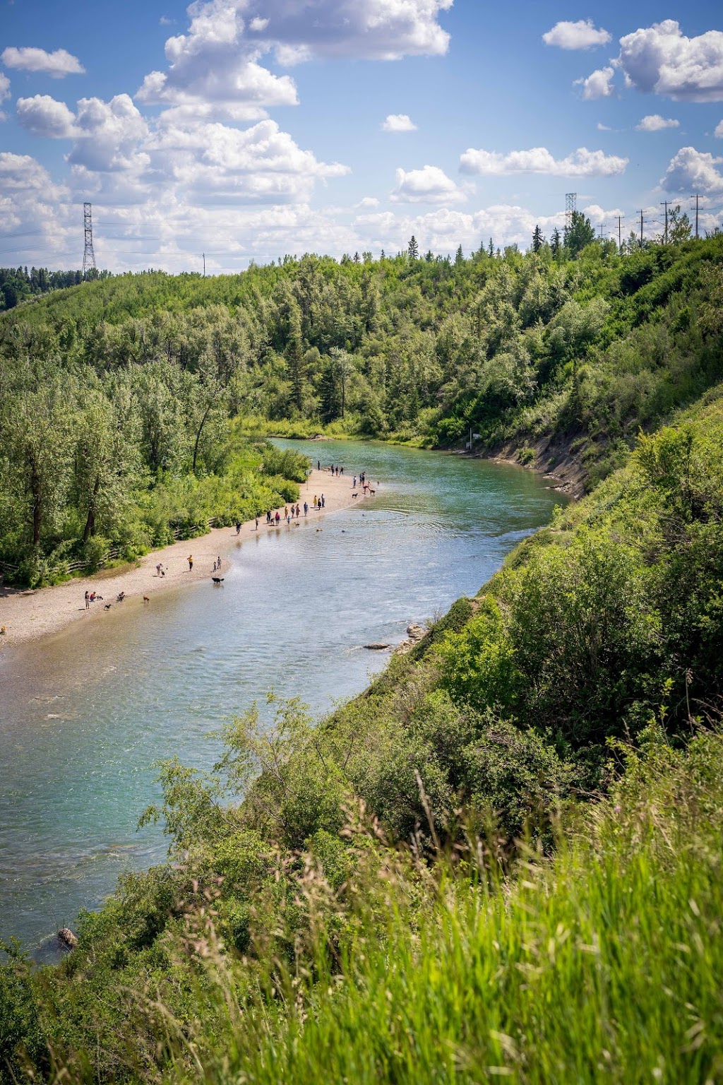 River Park Off Leash Area | 3Y5, 4500 14a St SW, Calgary, AB T2T 2V8, Canada