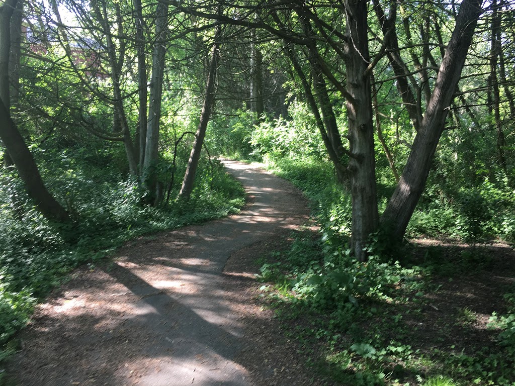 Mill Pond Trail - Richmond Hill, ON L4C 9N7, Canada