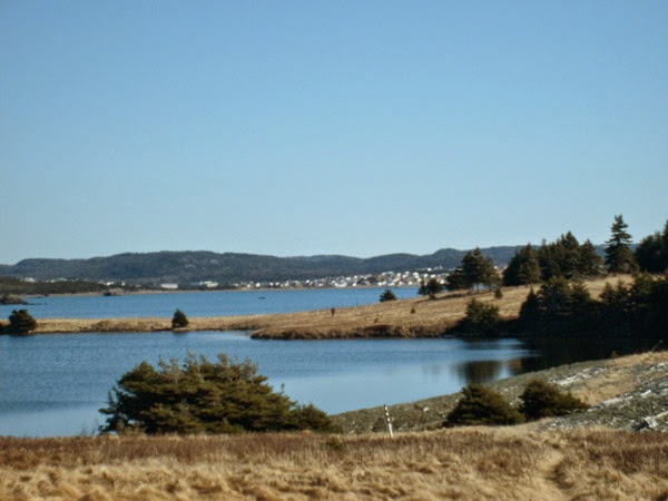 Arnolds Cove Inn | 41-59 Main Rd, Arnolds Cove, NL A0B 1A0, Canada | Phone: (709) 463-2313