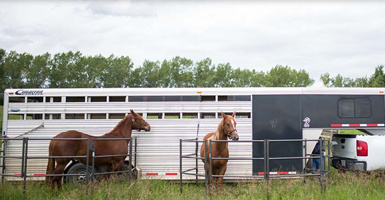 Cattlemens Corner | 2117 25 St, Nanton, AB T0L 1R0, Canada | Phone: (403) 646-2433