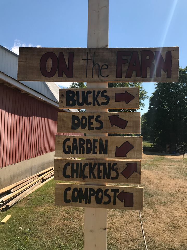 SweetHaven Farm | 583 Poonamalie Side Rd, Smiths Falls, ON K7A 4S4, Canada | Phone: (613) 207-3780