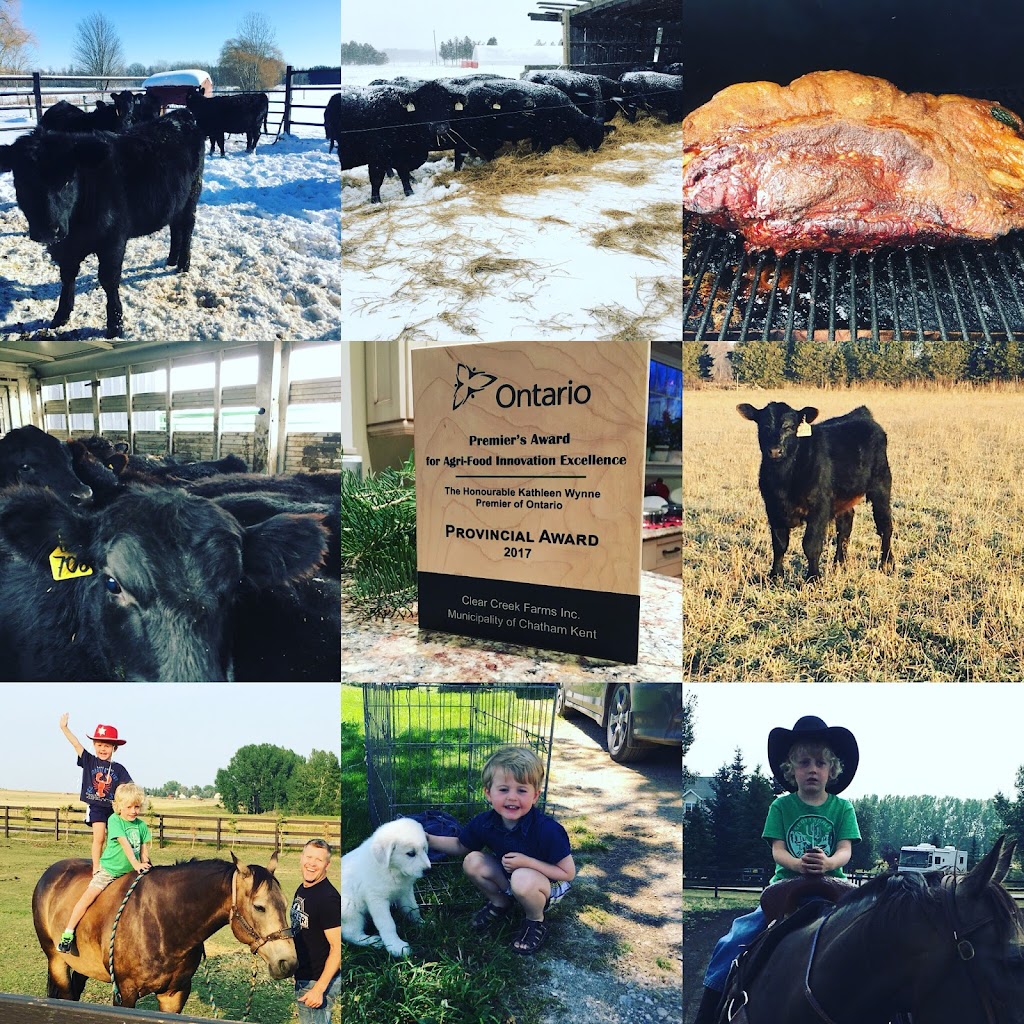 Clear Creek Farms | 14757 Cleeves Line, Highgate, ON N0P 1T0, Canada | Phone: (519) 784-6651