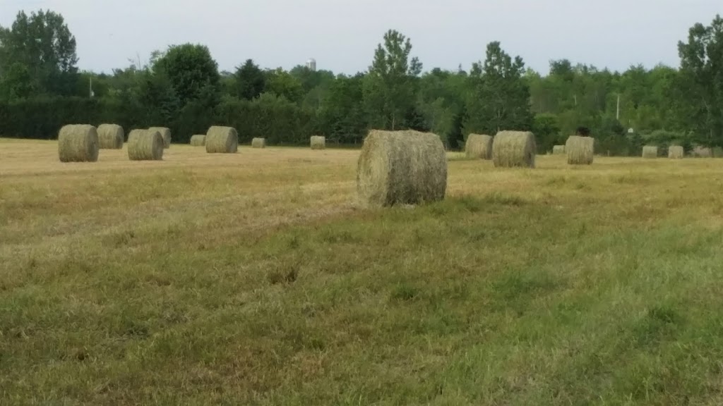 Alliance Agri-Turf Inc. | 2134 Little Britain Rd, Lindsay, ON K9V 4R2, Canada | Phone: (705) 324-7761