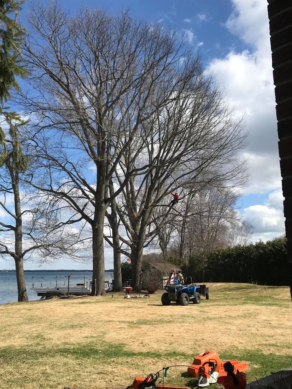 Tylers Tree Services | 7854 Yonge St, Innisfil, ON L9S 1L4, Canada | Phone: (705) 717-8357