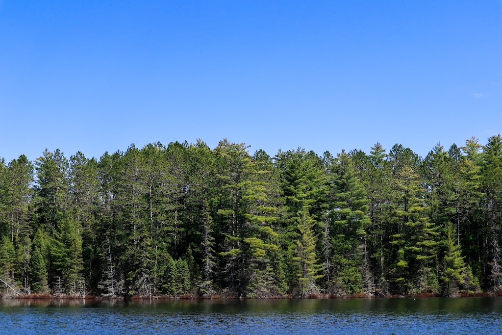 GV & Associates | 380 N Muskoka River Rd, Port Sydney, ON P0B 1L0, Canada | Phone: (647) 924-5191